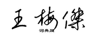 梁锦英王梅杰草书个性签名怎么写