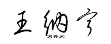 梁锦英王纳宁草书个性签名怎么写