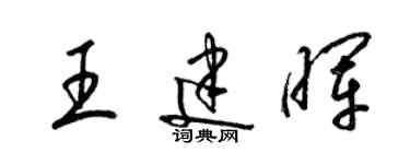 梁锦英王建晖草书个性签名怎么写