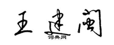 梁锦英王建闽草书个性签名怎么写
