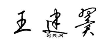 梁锦英王建翼草书个性签名怎么写
