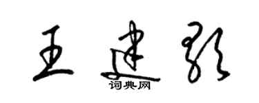 梁锦英王建歌草书个性签名怎么写