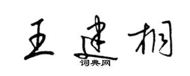 梁锦英王建桐草书个性签名怎么写