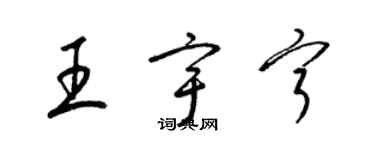 梁锦英王宇宁草书个性签名怎么写