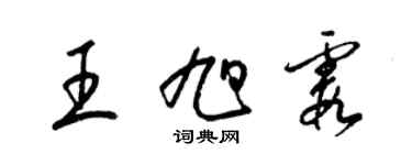 梁锦英王旭霞草书个性签名怎么写