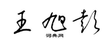 梁锦英王旭彭草书个性签名怎么写