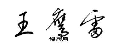 梁锦英王鹰雷草书个性签名怎么写