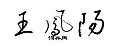 梁锦英王凤阳草书个性签名怎么写