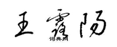 梁锦英王露阳草书个性签名怎么写