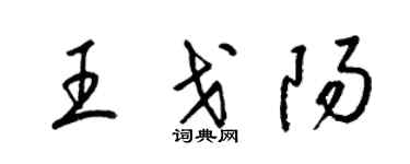 梁锦英王戈阳草书个性签名怎么写