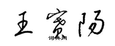 梁锦英王赛阳草书个性签名怎么写