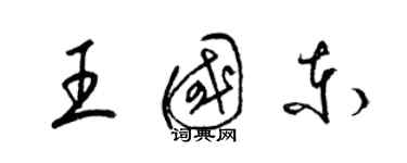 梁锦英王国东草书个性签名怎么写
