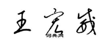 梁锦英王宏威草书个性签名怎么写