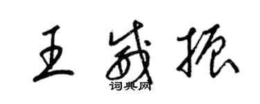 梁锦英王威振草书个性签名怎么写