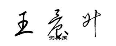 梁锦英王晨升草书个性签名怎么写