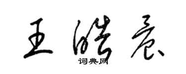 梁锦英王皓晨草书个性签名怎么写