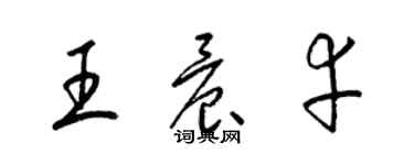 梁锦英王晨幸草书个性签名怎么写