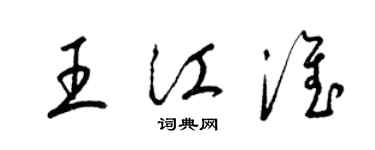 梁锦英王江淮草书个性签名怎么写