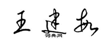 梁锦英王建敏草书个性签名怎么写
