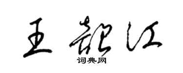 梁锦英王韶江草书个性签名怎么写