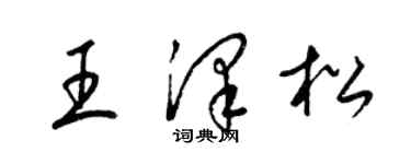 梁锦英王泽松草书个性签名怎么写