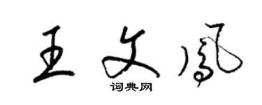 梁锦英王文凤草书个性签名怎么写