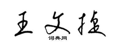 梁锦英王文捷草书个性签名怎么写