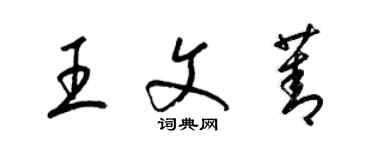 梁锦英王文菁草书个性签名怎么写