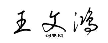 梁锦英王文鸿草书个性签名怎么写