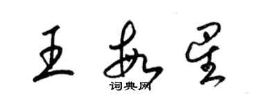 梁锦英王敏星草书个性签名怎么写