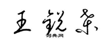 梁锦英王锐桑草书个性签名怎么写