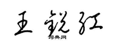 梁锦英王锐红草书个性签名怎么写