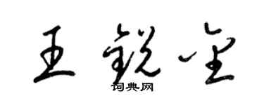 梁锦英王锐金草书个性签名怎么写
