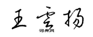 梁锦英王云扬草书个性签名怎么写