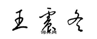 梁锦英王震冬草书个性签名怎么写