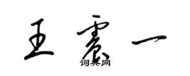 梁锦英王震一草书个性签名怎么写