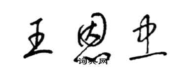 梁锦英王恩忠草书个性签名怎么写