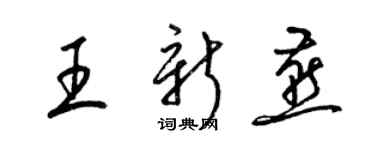 梁锦英王新燕草书个性签名怎么写