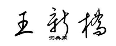 梁锦英王新桥草书个性签名怎么写