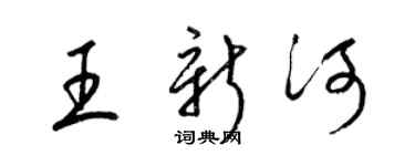 梁锦英王新河草书个性签名怎么写