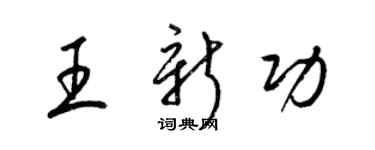 梁锦英王新功草书个性签名怎么写