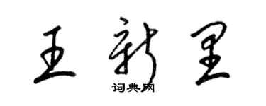 梁锦英王新里草书个性签名怎么写