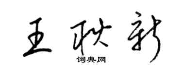 梁锦英王耿新草书个性签名怎么写