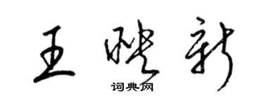 梁锦英王映新草书个性签名怎么写