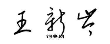 梁锦英王新岑草书个性签名怎么写