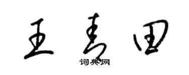 梁锦英王青田草书个性签名怎么写