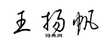 梁锦英王扬帆草书个性签名怎么写