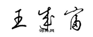 梁锦英王成富草书个性签名怎么写