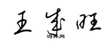 梁锦英王成旺草书个性签名怎么写