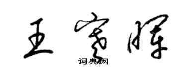 梁锦英王寒晖草书个性签名怎么写